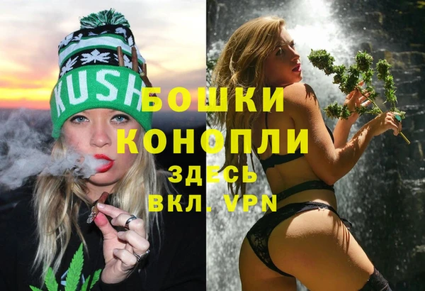 молекула духа Богородск