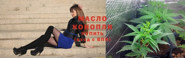 молекула духа Богородск
