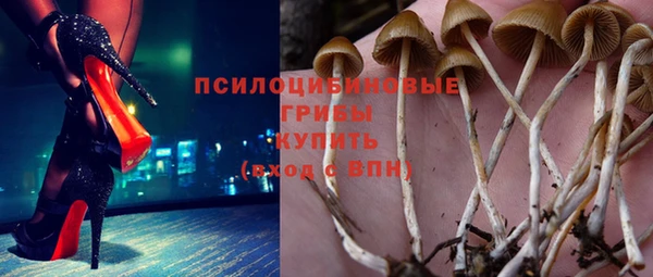 молекула духа Богородск