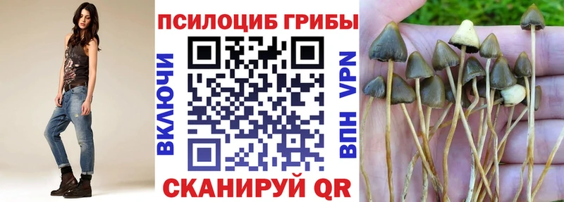 Галлюциногенные грибы GOLDEN TEACHER  Качканар 